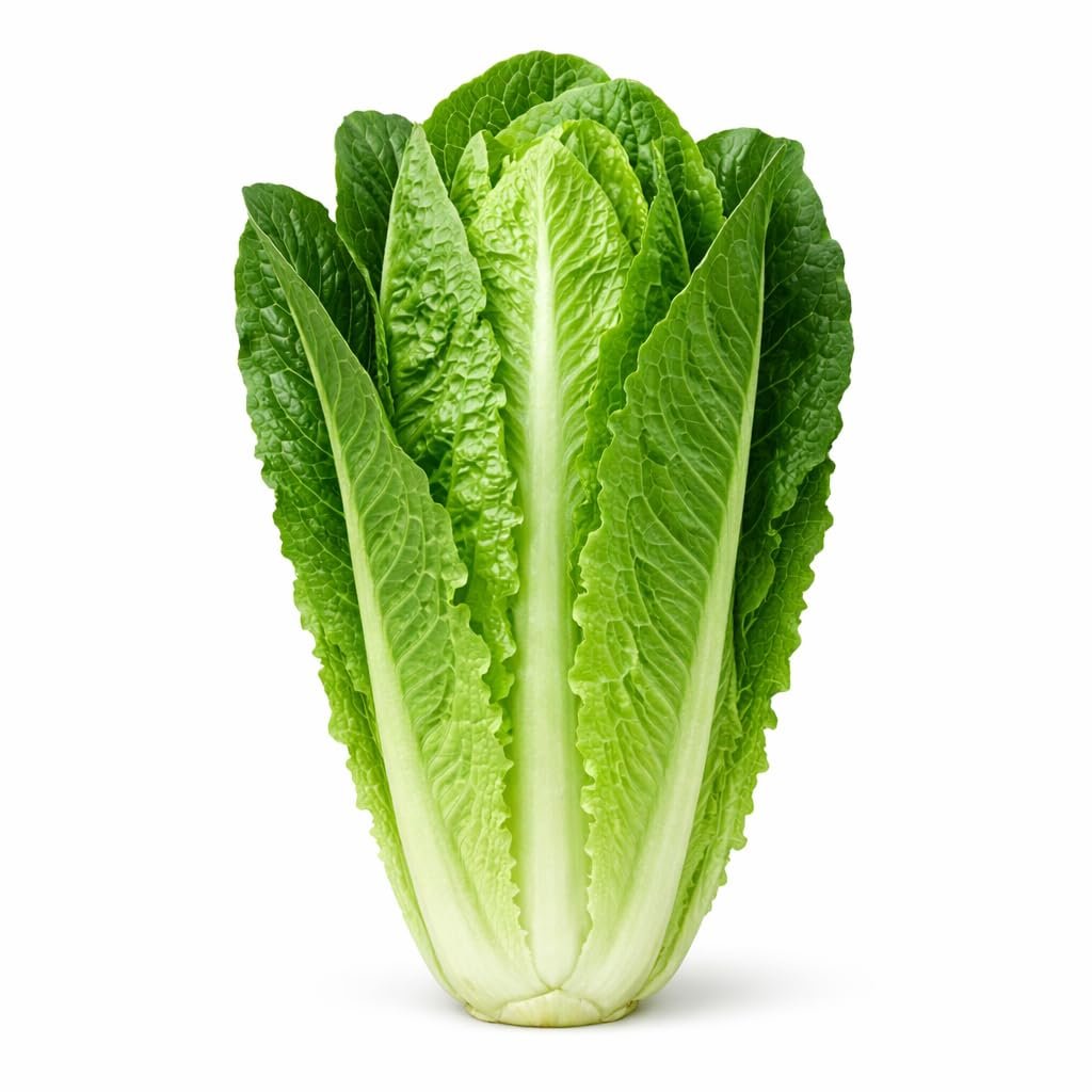 خس